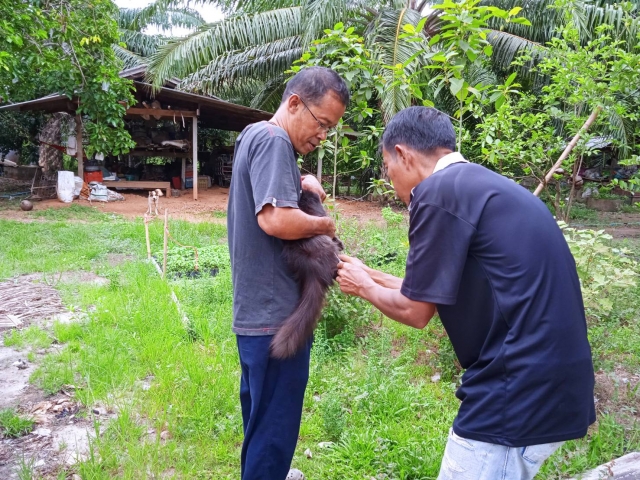 เจ้าหน้าที่ลงพื้นที่ฉีควัคซีนป้องกันโรคพิษสุนัขบ้า หมู่ที่ 4,หมู่ที่ 5 ,หมู่ที่ 10 